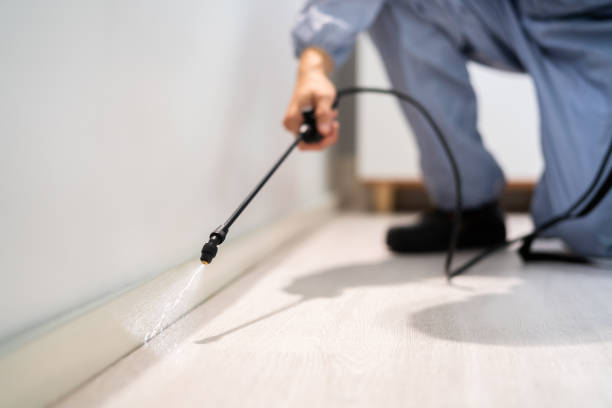 Licensed Cockroach Control service in Leander, TX - Nex Pest Control