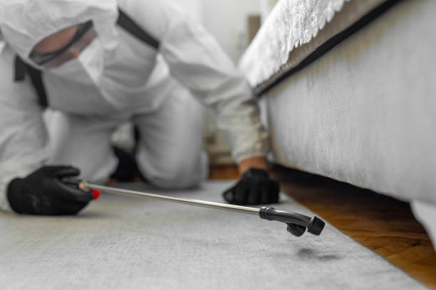 Professional Cockroach Control technician working in Leander, TX