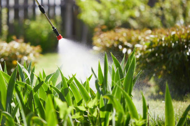 24/7 Emergency Cockroach Control experts in Leander, TX