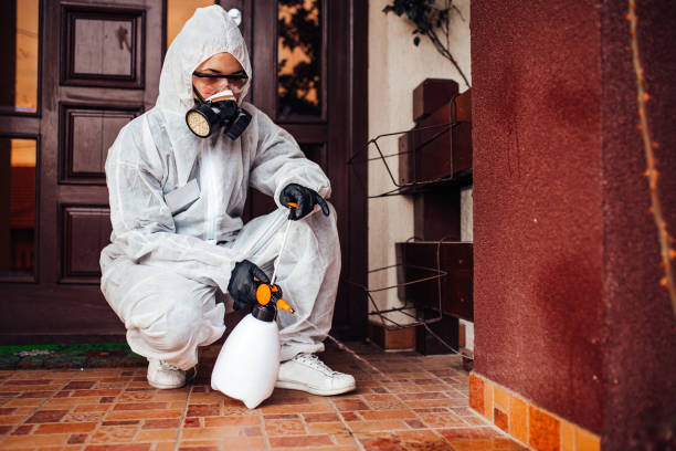 Reliable Cockroach Control contractor in Leander, TX by Nex Pest Control